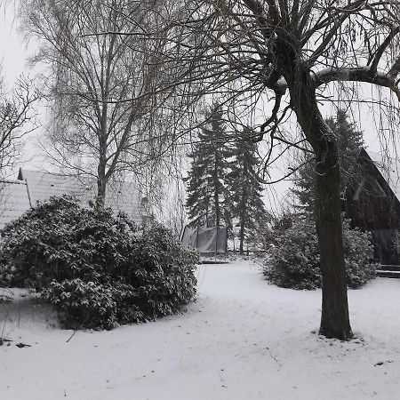 Eitzmanns Ferienhauser Dushorn Esterno foto