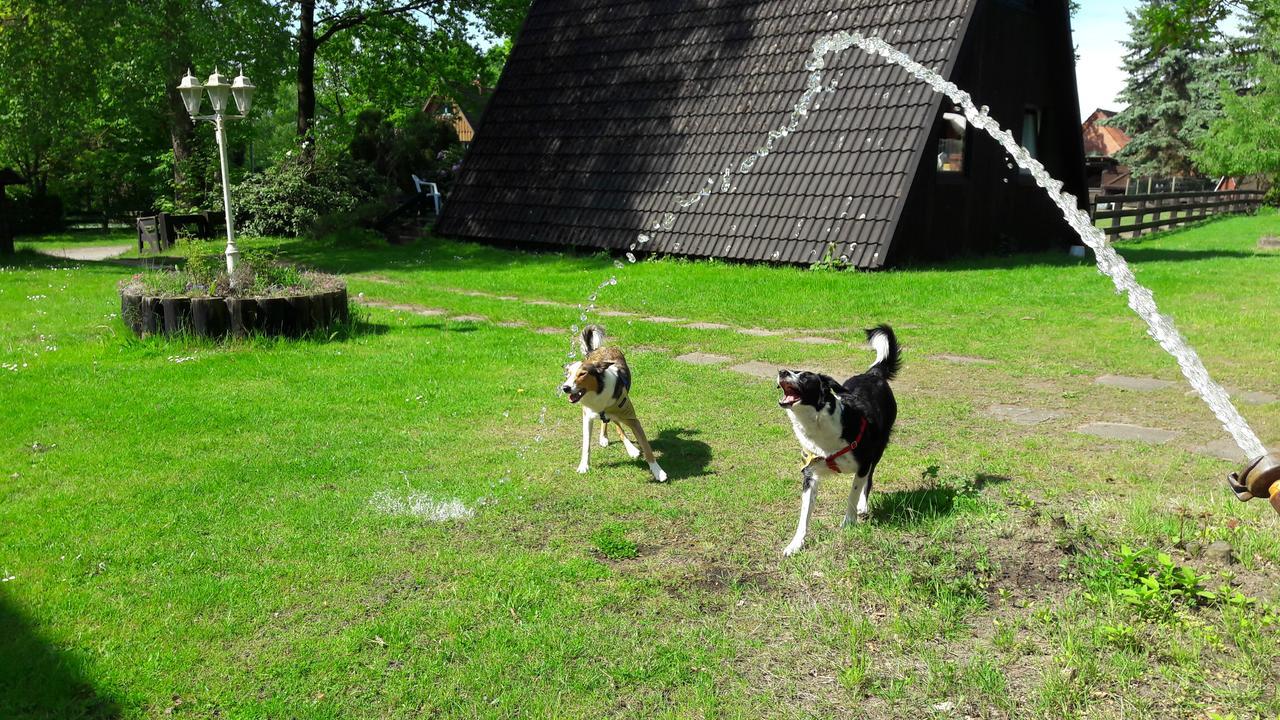 Eitzmanns Ferienhauser Dushorn Esterno foto